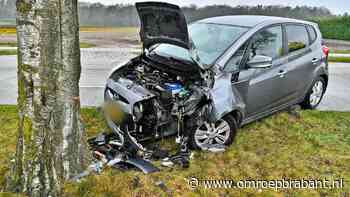 112-nieuws: auto tegen boom in Eersel • overval in Gemonde - Omroep Brabant