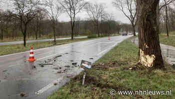 Auto klapt tegen boom op Zeeweg, bestuurder en hond komen met de schrik vrij - NH Nieuws
