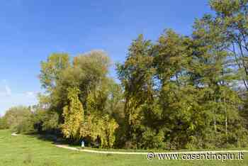 “Il turismo come opportunità di sviluppo sostenibile”: un incontro a Bibbiena Stazione - Casentinopiù