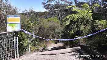 Tragödie in den Blue Mountains: Brite und Sohn (†9) von Steinen erschlagen - BLICK