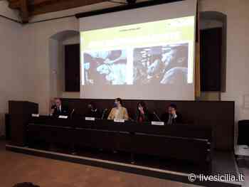 Catania, gestori e magistrati uniti per “bere responsabilmente” VIDEO - Livesicilia.it