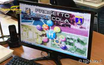 Catania, scommesse clandestine: confiscati beni per 160 milioni - Sky Tg24