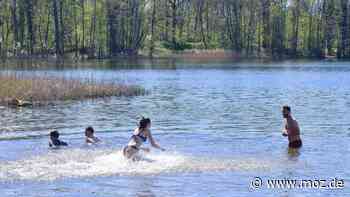 Baden in MOL: So geht es mit dem Bau der Stege am Klostersee in Altfriedland weiter - Märkische Onlinezeitung