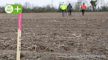 Volkswagen: Untersuchungen für Bau der Trinity-Fabrik gestartet - Wolfsburger Allgemeine