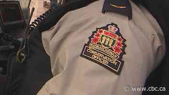 Mixed reactions to new Sask. policing branch that amalgamates provincial peace officers