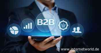 B2B-Marketing: In diese Kommunikationskanäle fließen die Werbebudgets - Internet World