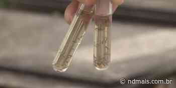 Brusque registra morte por dengue e inicia ações de combate ao mosquito - ND Mais