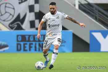 Brusque abre negociação com Pará, ex-Fla, Grêmio e Santos - Globo.com