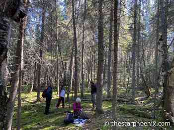 Protected area to guide boreal forest through changing climate