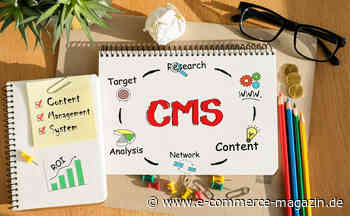 Content-Management-Systeme: Experten sorgen sich um die Sicherheit - eCommerce Magazin