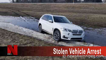 Male fleeing police in Saskatchewan stopped by RCMP In Manitoba - NEWS4.ca