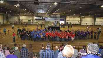 Saskatchewan beef show returns after two year break - paNOW