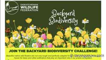 Saskatchewan Wildlife Federation's Backyard Biodiversity Challenge i - larongeNOW
