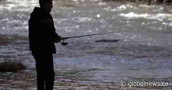 Saskatchewan government releases province’s 2022-2023 Anglers Guide - Global News