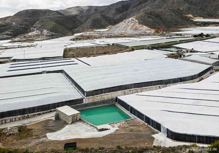 Buchtipp: Georg Aerni - Silent Transition