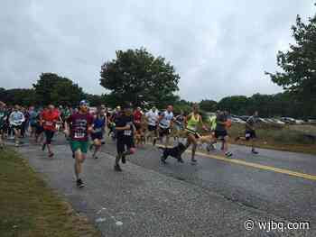 Dash for Dogs 5K For Greater Androscoggin Humane Society is Back! - WJBQ