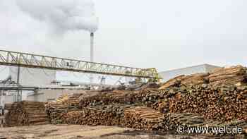 Neues Embargo droht – doch europäische Holzkonzerne bleiben Russland treu