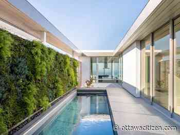 Connecting humans with nature: Trees serve as trophies in green design