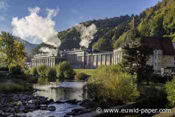 Baden Board's packaging division stops operations - EUWID Pulp and Paper