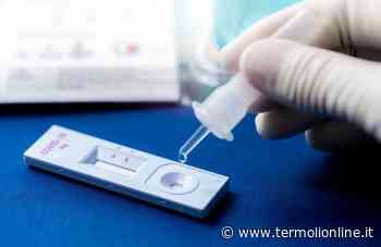 Termoli, Isernia, Campobasso: Covid: in Molise 301 guariti e 450 contagi - Termoli Online