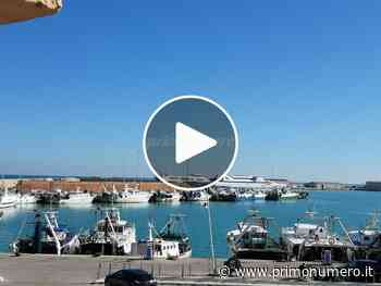 Salvare il mare dall’inquinamento come mestiere del futuro: in classe anche imprenditori - Primonumero