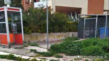 Termoli: Ma possiamo vivere così? - Termoli Online