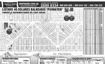 Suhr remata más de 40 solares en Barra del Chuy - El Observador