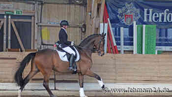 Doppelsiege für Fehmarns Reiter - fehmarn24.de