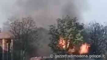 Maranello. Cibo per cani avvelenato: via ai controlli nei parchi - La Gazzetta di Modena