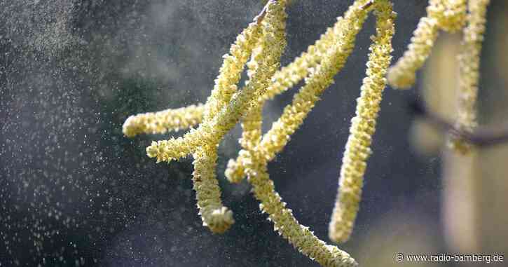 Corona oder Allergie?