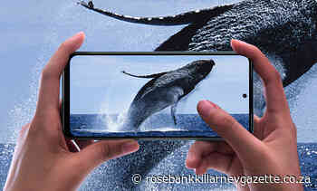 Redmi Note 11 series from Xiaomi launched - Rosebank Killarney Gazette