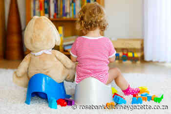 Is your tot ready for potty training? - Rosebank Killarney Gazette