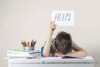 Hacks to keep your child from having a homework meltdown - Rosebank Killarney Gazette