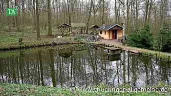 Sundhausen: Vereinigung von Waldbesitzern löst sich auf - Thüringer Allgemeine