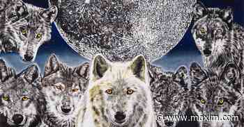 Naturalist Painter John Newsom Blends Stunning Wildlife With Abstract Settings In 'Nature's - Maxim