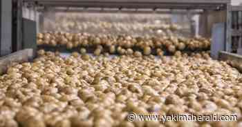 Senate passes bipartisan shipping reform bill that promises to help Northwest farmers, consumers - Yakima Herald-Republic