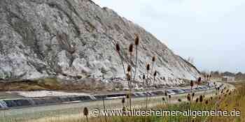Hochwasserschutz im Kreis Hildesheim: Was die Bürgerinitiative fordert - www.hildesheimer-allgemeine.de