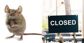 Fusion Sushi restaurant in Calgary closed by Alberta Health Services | Dished - Daily Hive