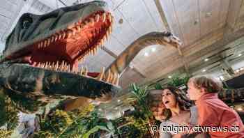 Calgary's BMO Centre welcomes Jurassic Quest dinosaur exhibit this weekend | CTV News - CTV News Calgary
