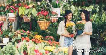 Calgary to get 4 massive pop-up garden centres this spring - Curiocity