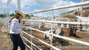 University of Calgary: Student life on campus - Maclean's