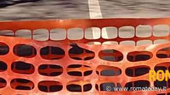 Si apre voragine ai Parioli, strada transennata da oltre due settimane