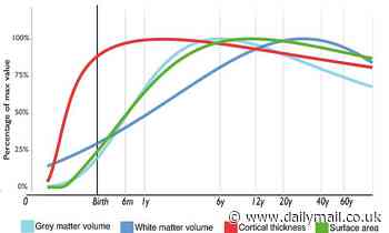 Brain charts map the rapid growth and slow decline of the human brain