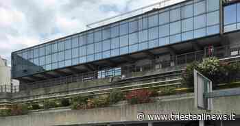 Trieste, studenti Fvg in piazza per manifestare in difesa del... - Trieste News
