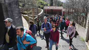 Referendum sulla Cabinovia di Trieste, i “saggi” aspettano altre carte dal Comitato del No - Il Piccolo