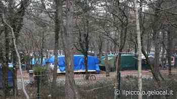 Sgomberi a Pian del Grisa: a Trieste una trentina di campeggiatori ricorre alle vie legali - Il Piccolo