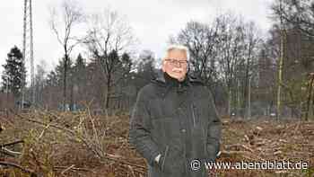 Glinde ändert Baumschutzsatzung nun doch - Hamburger Abendblatt