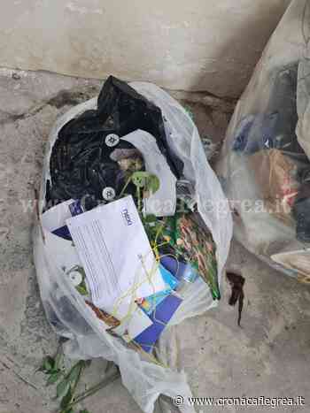 BACOLI/ Sversa rifiuti in strada ma dentro ci sono green pass e documenti: multato e denunciato - Cronaca Flegrea