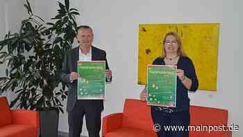 Zwei Tage lang blüht Marktheidenfeld auf - Main-Post