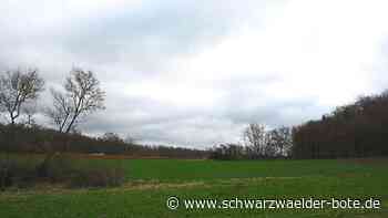 Streit um neuen Schafstall: Das letzte Wort im Gechinger Gemeinderat ist noch nicht gesprochen